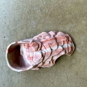 New Reptile rock and water bowl